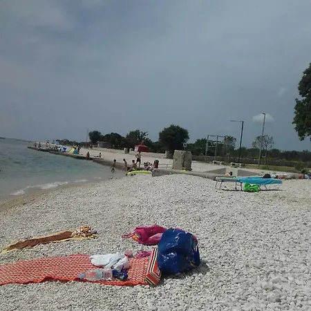 Apartament 100 C